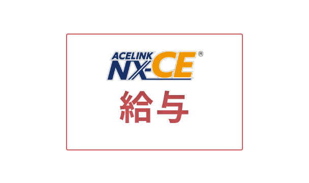 ACELINK NX-CE