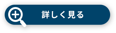 詳しく見る